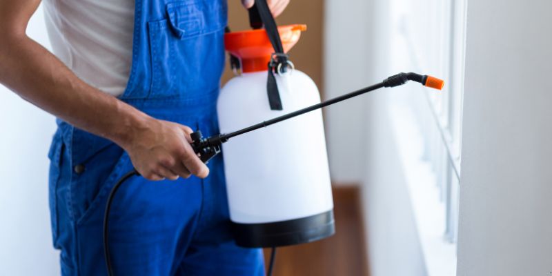 Como fazer dedetização em casa em Anápolis