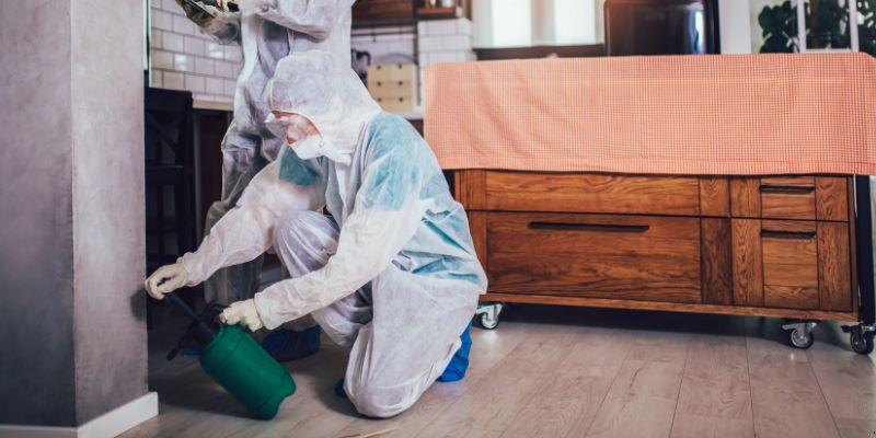 Dedetização em Apartamento Como Funciona em Anápolis: Confira 4 Passos