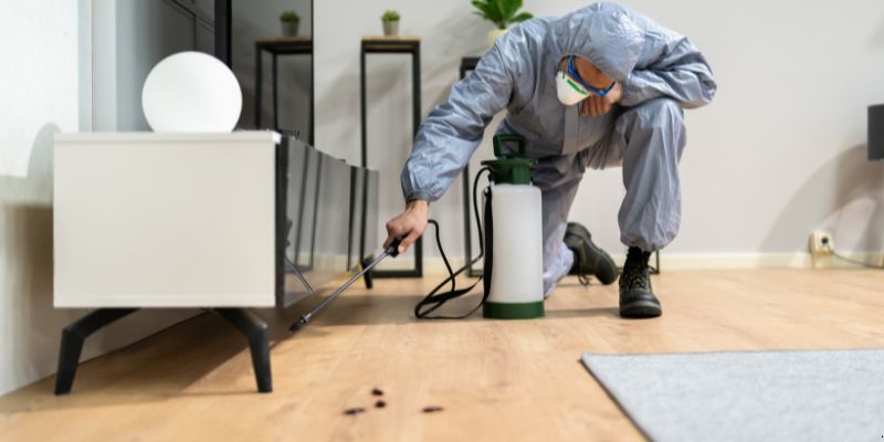 Quanto tempo dura uma dedetização em Anápolis?